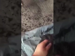 Vídeo de trabalho de granulação de fertilizantes de bolas