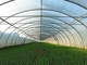 Estufa vegetal agrícola clara pré-fabricada Q235 ISO9001 da construção de aço