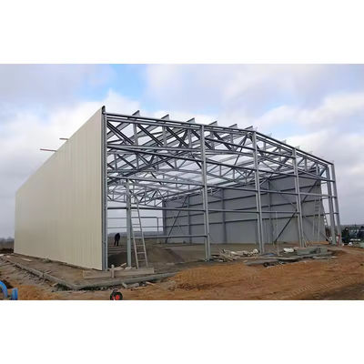 XDEM Estrutura de aço leve pré-fabricada Armazém de produção Oficina de produção Fabricante de galpões de frango