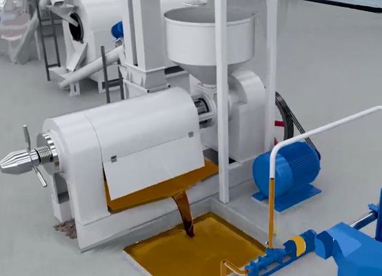 Máquina de prensagem de óleo de trituração de casca de núcleo de palma de palma automática de quebra e sistema de separação