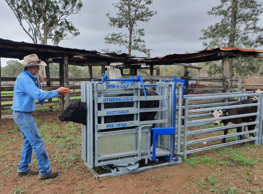 Esmagamento de gado resistente à corrosão revestido em pó do equipamento de gado para baixa manutenção Calha de vaca de contenção de animais para uso veterinário de fazenda