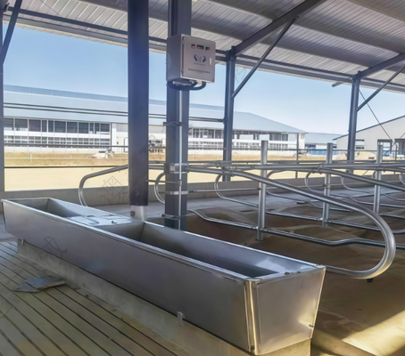 Aquecedor de gado revestido em pó Resistente à corrosão Poço de beber fácil de conectar com a fazenda Sistema de abastecimento de água para uso de celeiro de bovinos