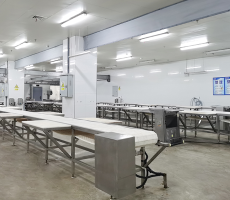 Equipamento de abate de aço inoxidável com controlo PLC e norma GB para uma transformação eficiente da carne