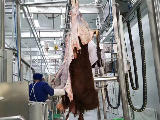 Equipamento de abate de aço inoxidável com controlo PLC e norma GB para uma transformação eficiente da carne