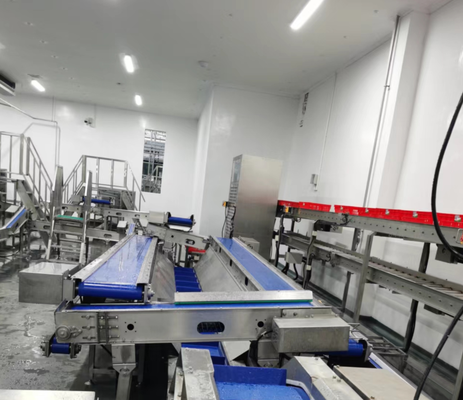 Equipamento de abate de aço inoxidável com controlo PLC e norma GB para uma transformação eficiente da carne