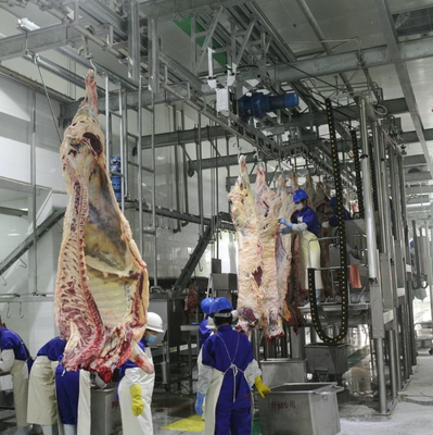 Equipamento de abate de aço inoxidável com controlo PLC e norma GB para uma transformação eficiente da carne