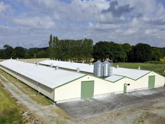 Galinha e exploração avícola da oficina da produção do armazém da construção de aço de XDEM