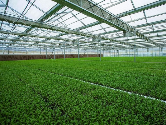 Estufa vegetal agrícola clara pré-fabricada Q235 ISO9001 da construção de aço