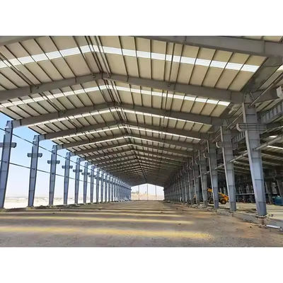 XDEM Estrutura de aço leve pré-fabricada Armazém de produção Oficina de produção Fabricante de galpões de frango